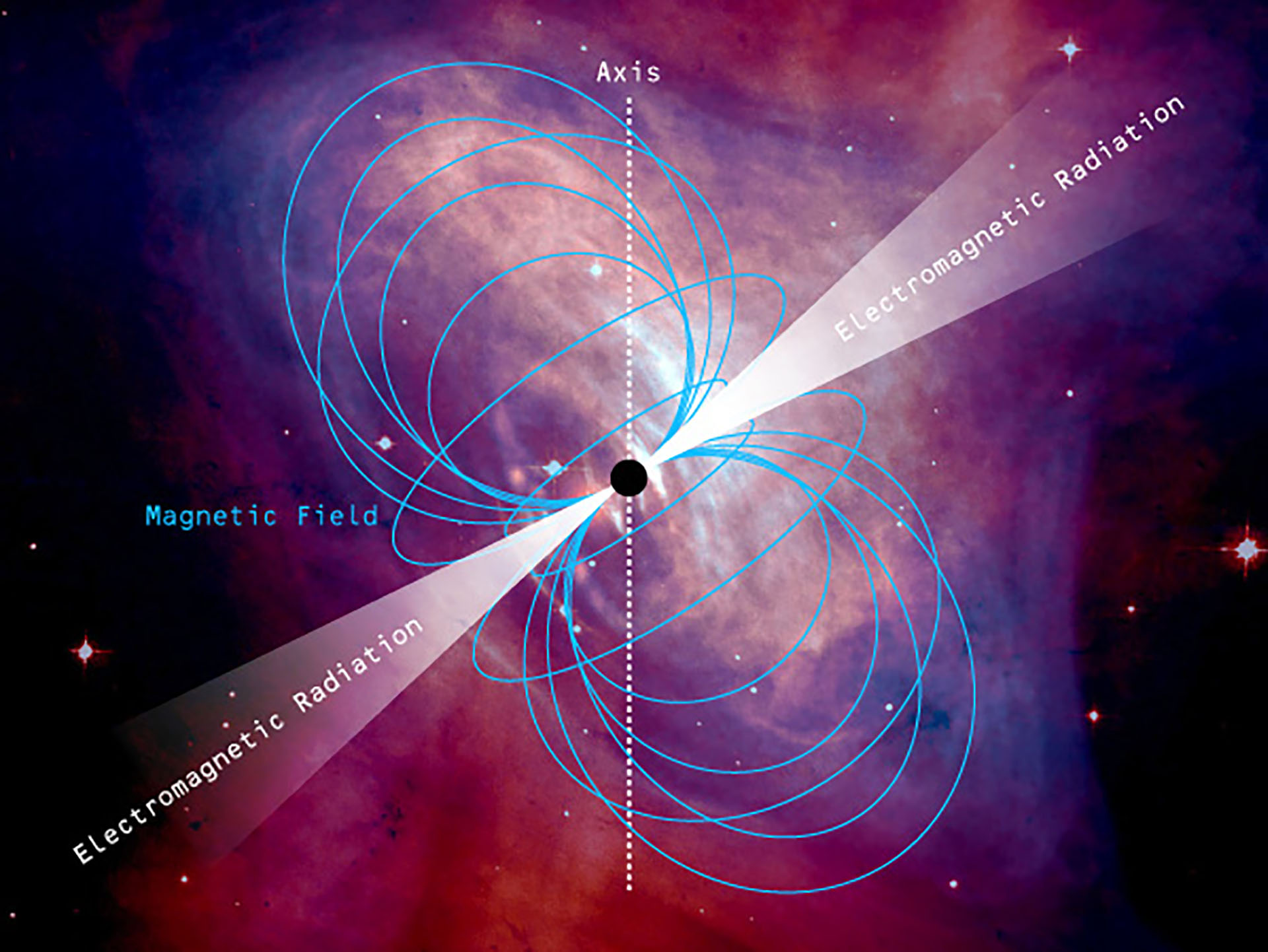 A pulsar in the Crab Nebula